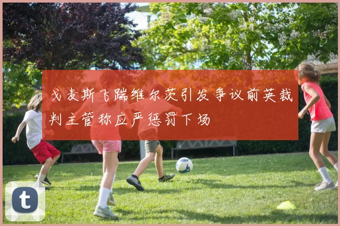戈麦斯飞踹维尔茨引发争议前英裁判主管称应严惩罚下场
